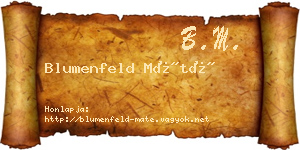 Blumenfeld Máté névjegykártya